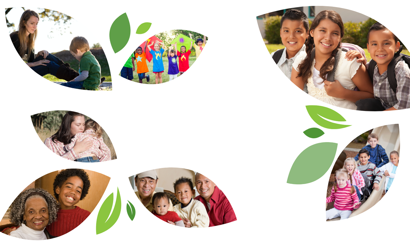 PACC_homepage.png